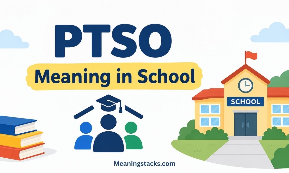 ptso-meaning-in-school