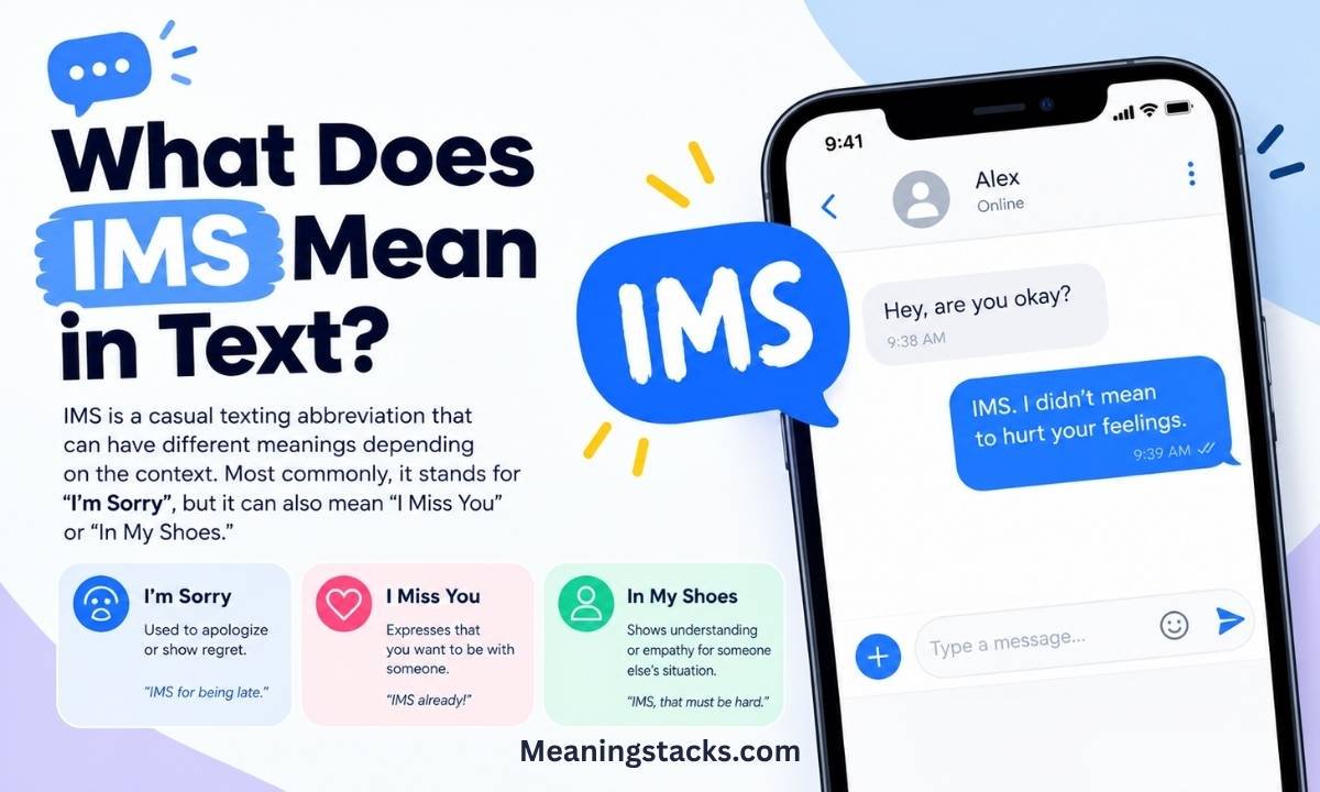 what-does-ims-mean-in-text