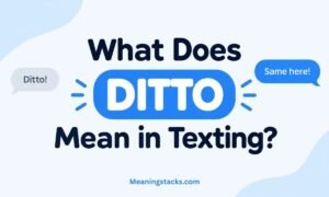 what-does-ditto-mean-in-texting