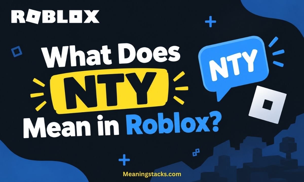 what-does-nty-mean-in-roblox