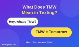 what-does-tmw-mean-in-texting