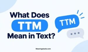 what-does-ttm-mean-in-text
