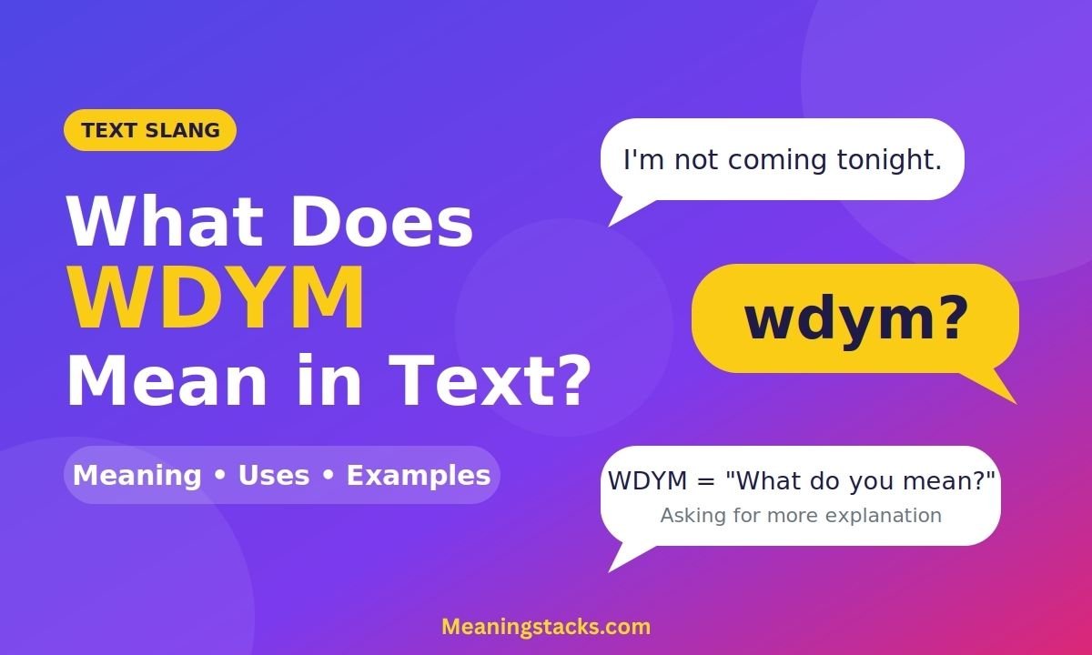 what-does-wdym-mean-in-text