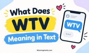 wtv-meaning-in-text